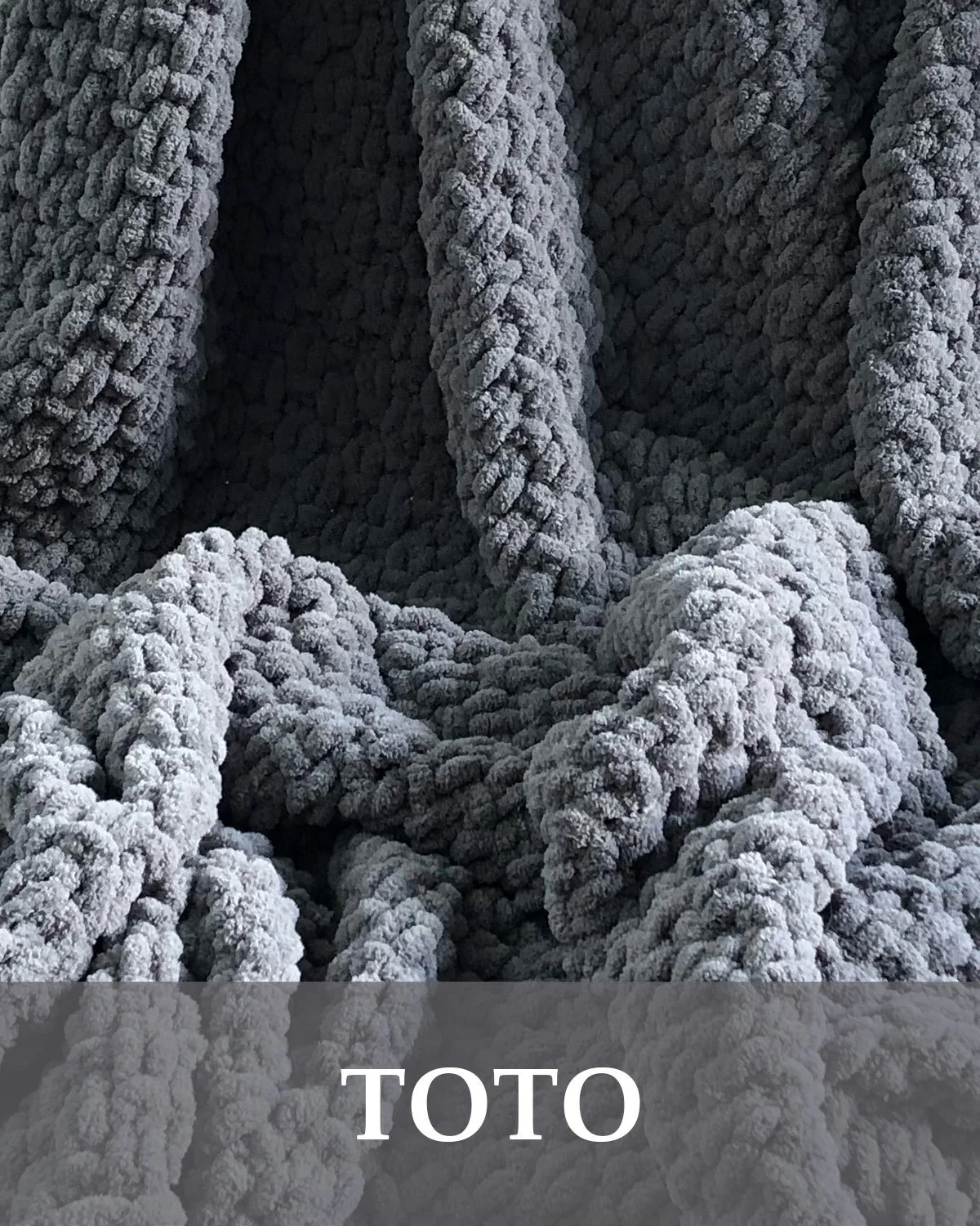 TOTO_01.jpg