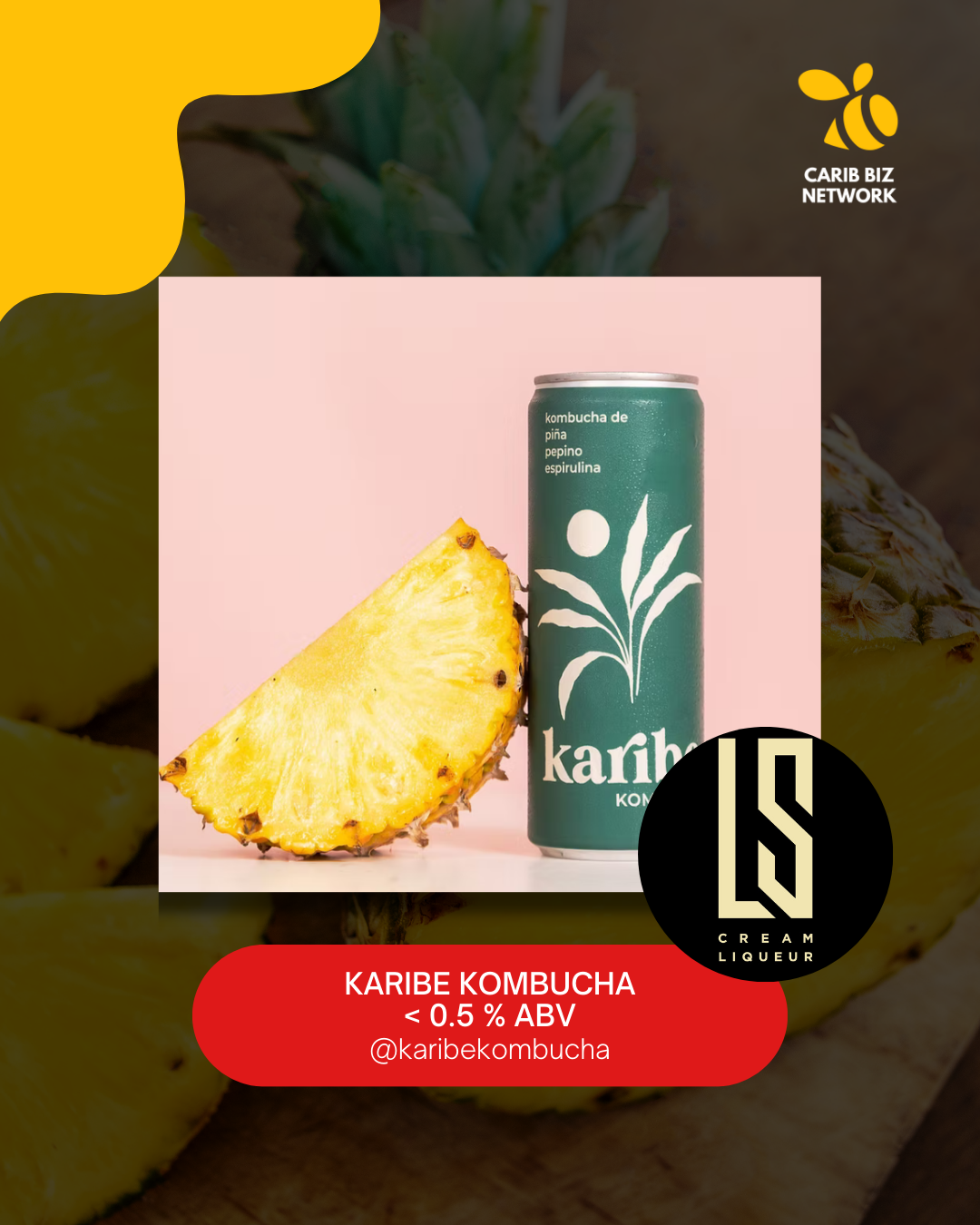 CBN BRAND CAROUSELS (6).png