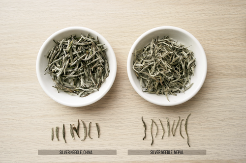 Tea Silver The In-Depth Guide to Silver Needle White Tea — Tea Curious