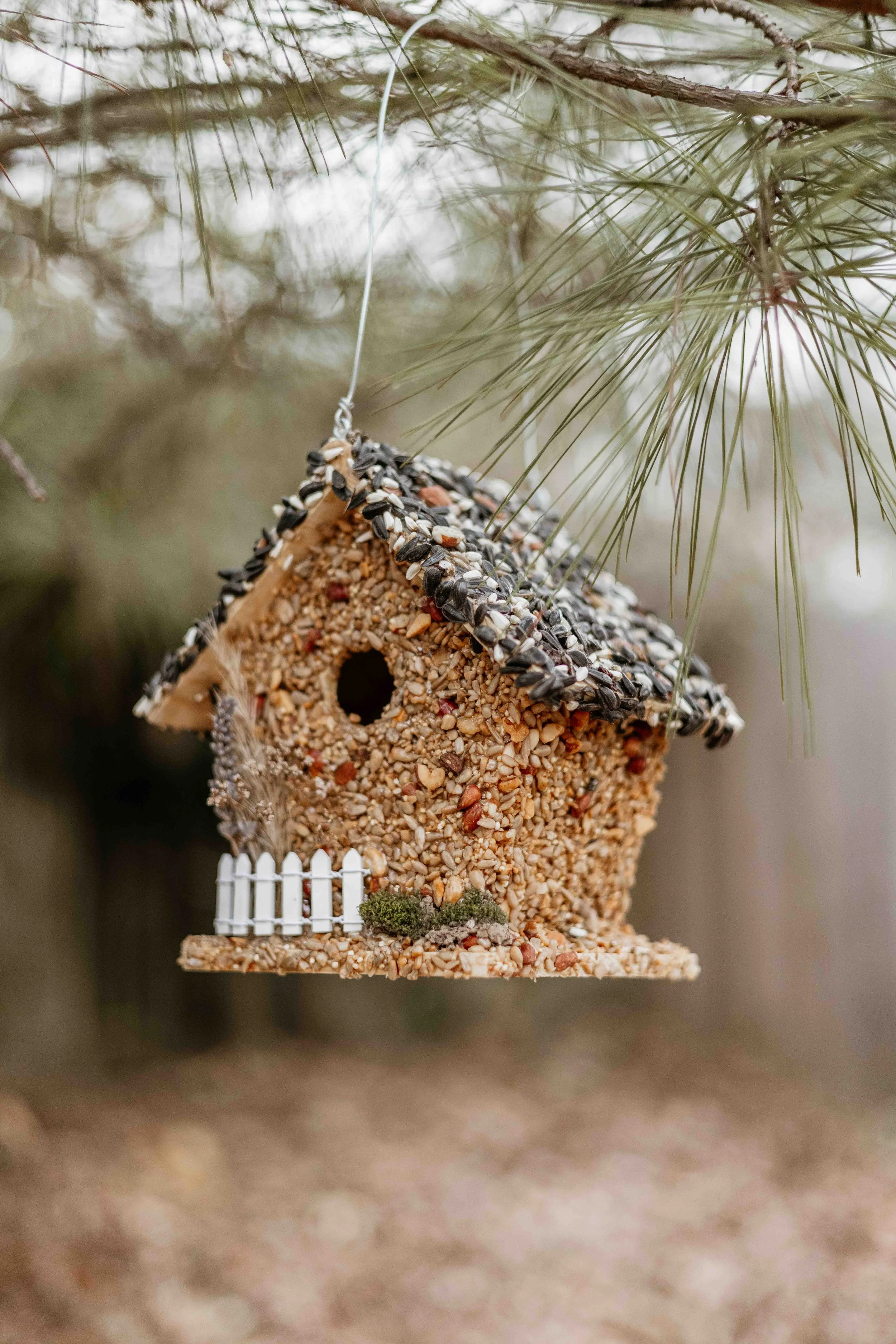 DIY Birdseed House