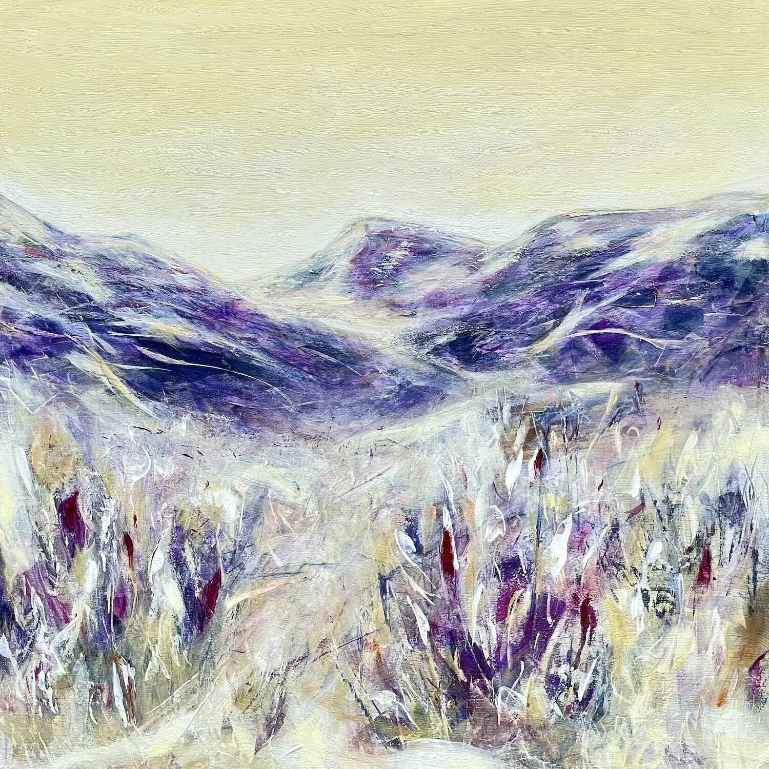 Mountain Meadow