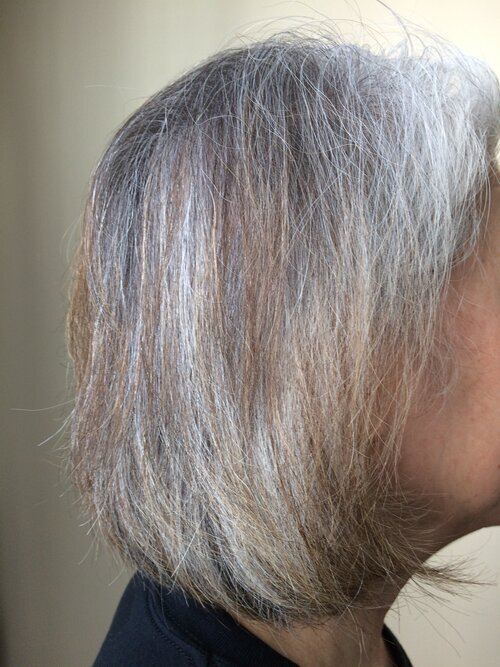 Grey Hair4.jpeg