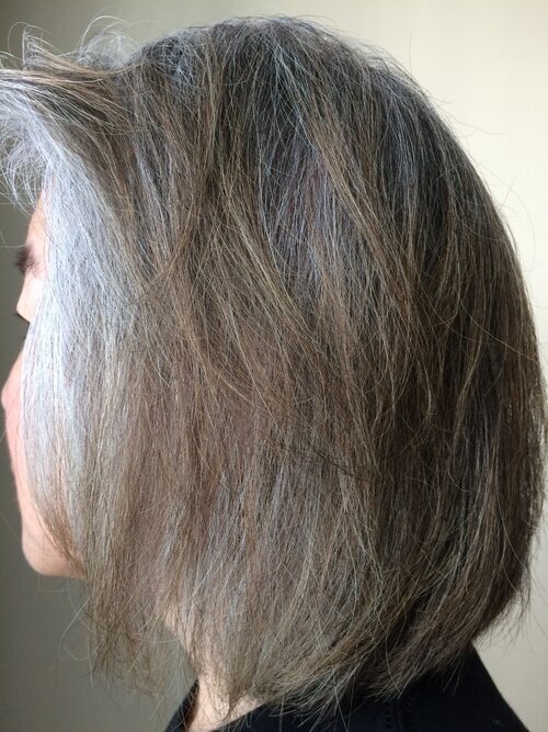 Grey Hair5.jpeg