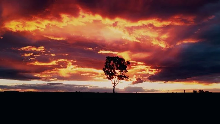 Central QLD sunsets on the @djiglobal Mavic 4 Pro

#mavic4pro #documentary #videoproductionsydney #filmproduction🎬 #sydneyvideographer #drone #queensland #dji #goldenhour #sunset #agriculture #agricultureaustralia #cinematographer