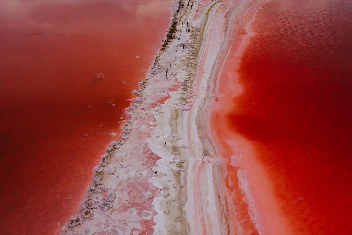 Algal blooms / landscape bacon

#mavic4pro #landscapephotography #dronelife #australianlandscape #southaustralia