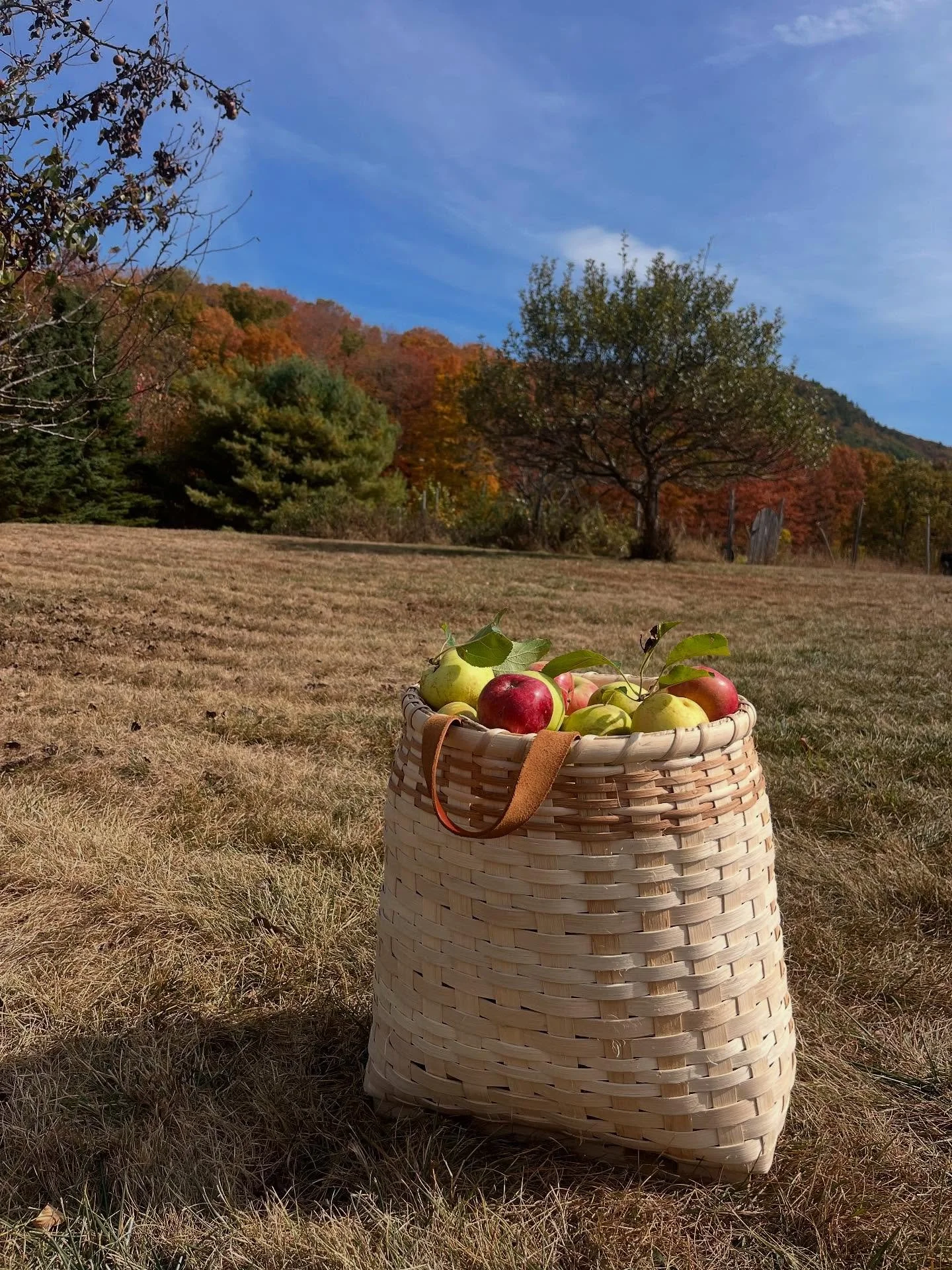 It&rsquo;s fall y&rsquo;all! And we love seeing handmade crafts in the wild! Like this day pack made by @emdutch! 

#basketmaking #fallyall #fallactivities #applepicking #autumninvermont #handmade