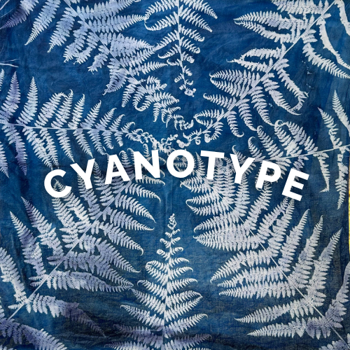Cyanotype