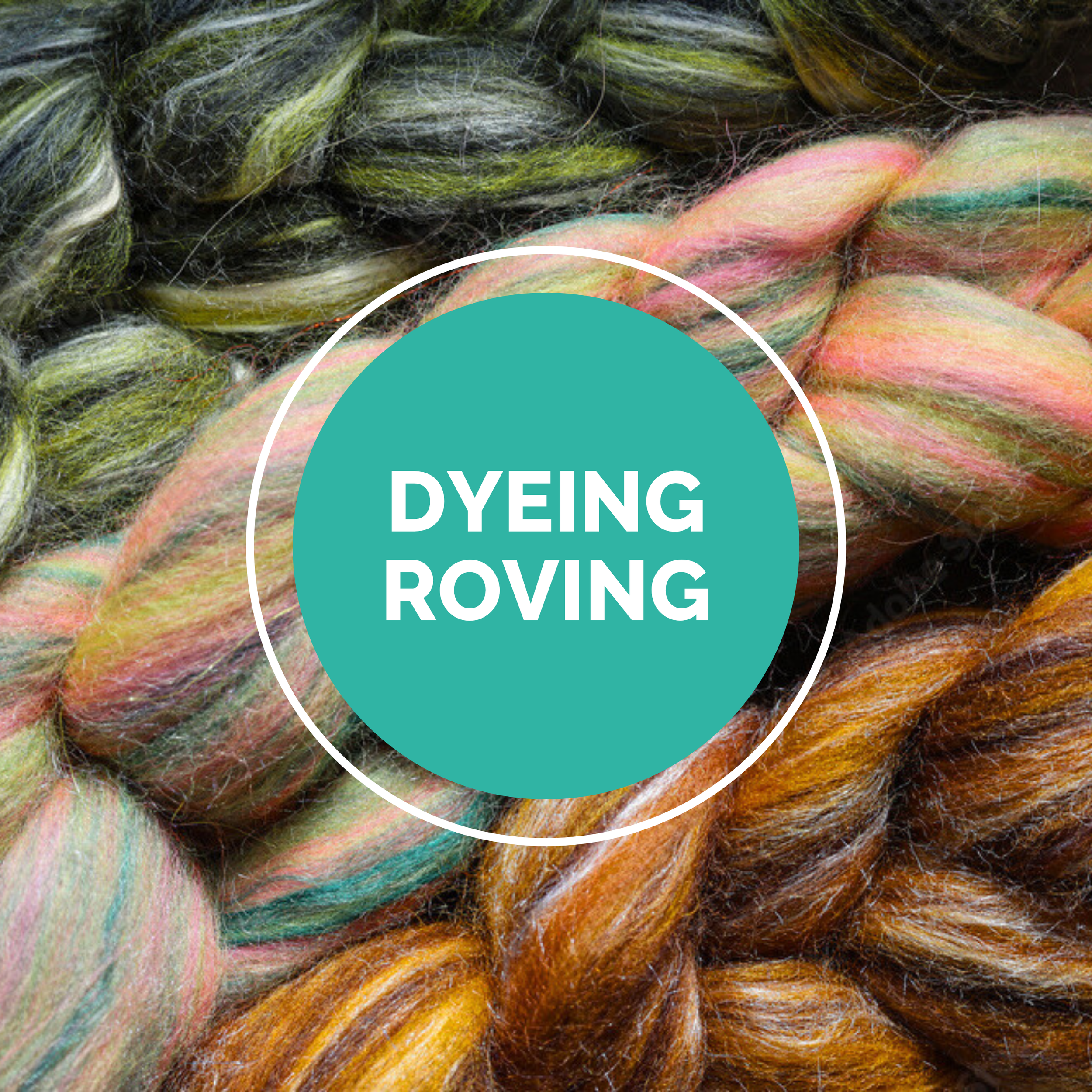Dyeing Wool Roving