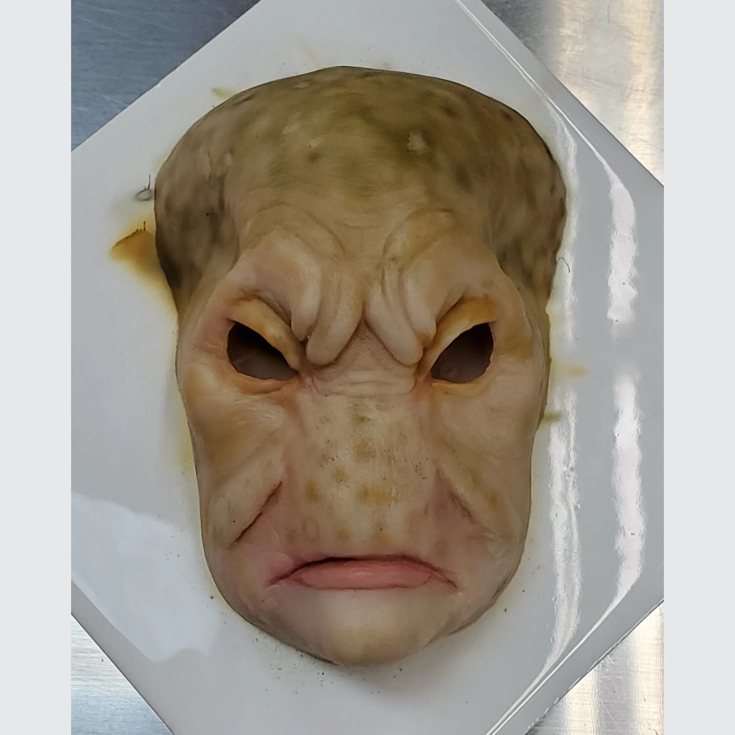TylerGreen-20190713_143818.jpeg