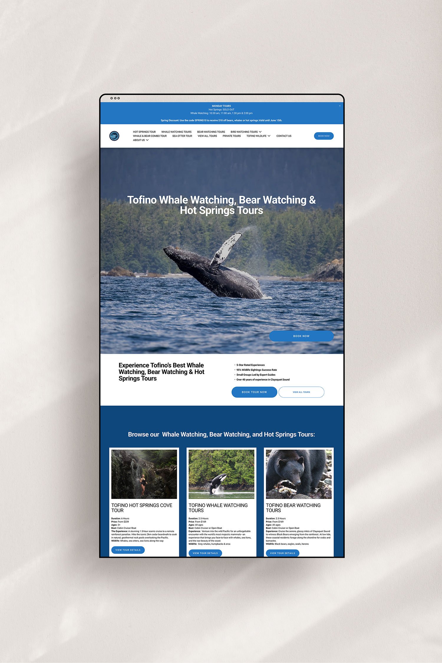 The Whale Centre home page before Squarespace Design Day