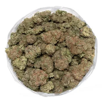 pink-kush-detailed-marijuana-buds-in-bag-1-355x355.webp