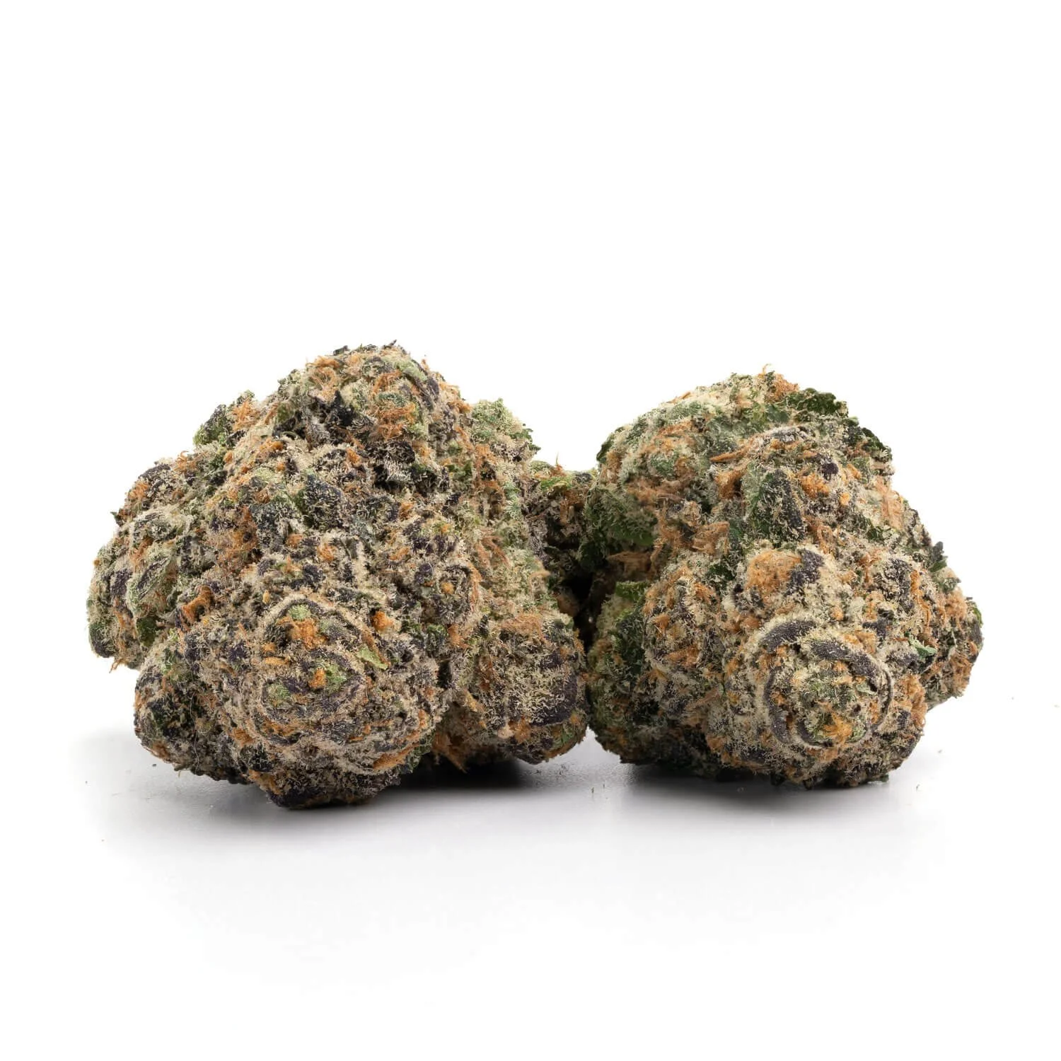 Mimosa