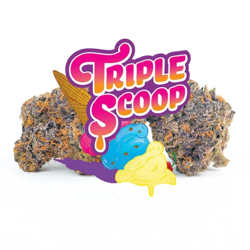 Triple Scoop