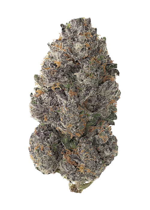 Purple Thai