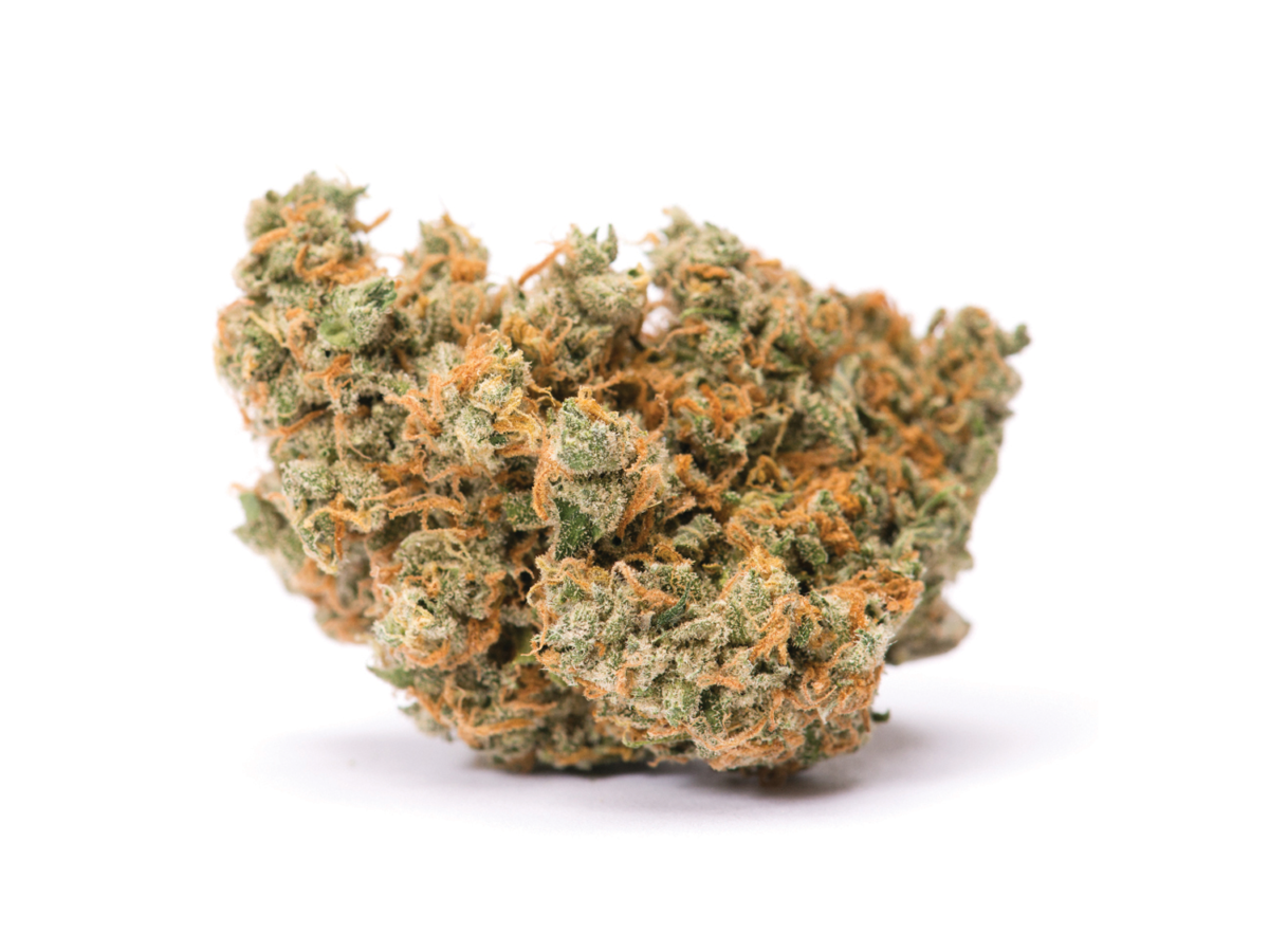 Jack Herer