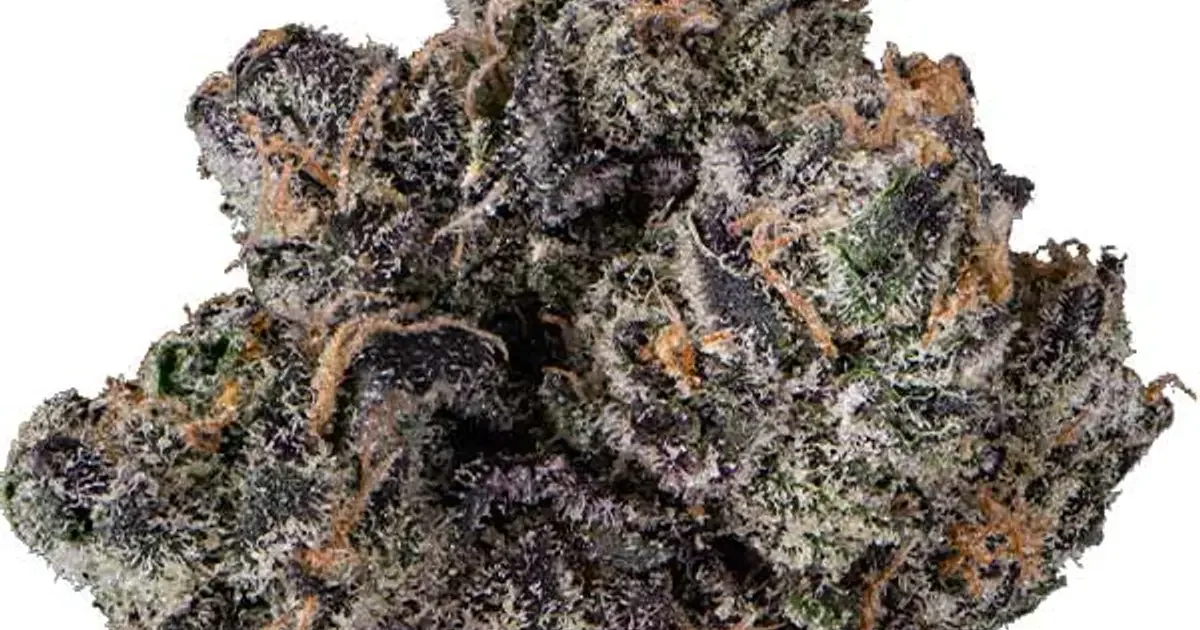 Purple Cream