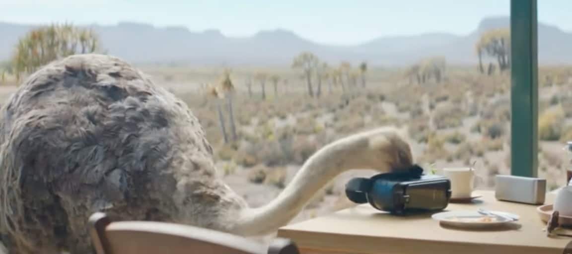 “SAMSUNG - OSTRICH / DIR. BY MATTHIJS VAN HEIJNINGEN JR.