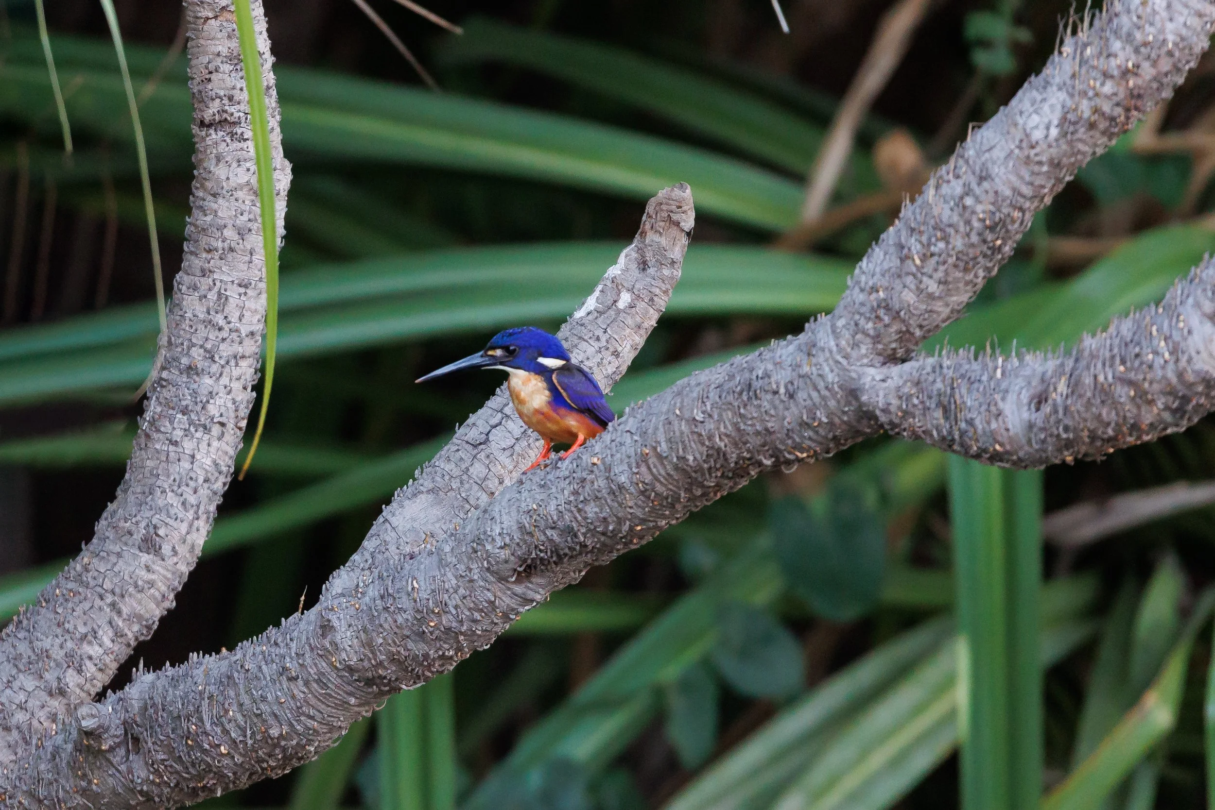 20230917KAKADUTOURISM-COOINDA-41.jpg
