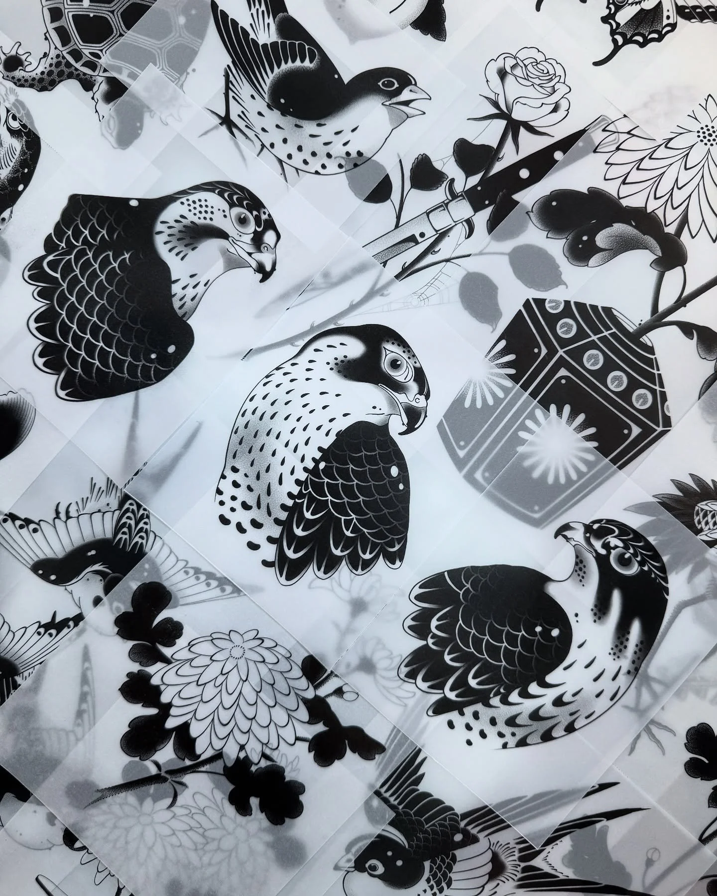 Bird studies drawn recently @lighthouse_tattoo. All of these are available to be tattooed - submit the contact form on my website (link in bio) to enquire 

WWW.DANIELTATTOOER.COM

________________________________________

 #tat #tattoo #tattooart #t