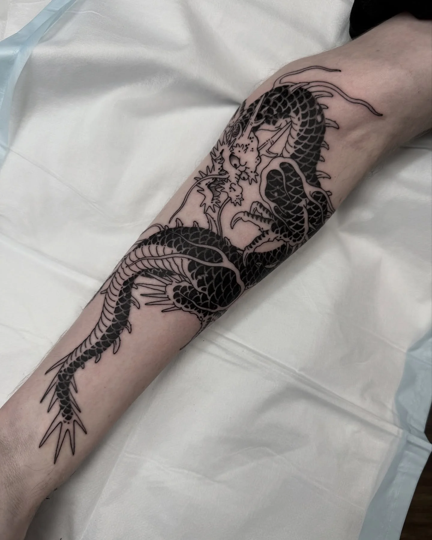 Always time for more dragons! For bookings, submit the contact form found in my bio or send me a DM. 

Tattooed @lighthouse_tattoo 

 

________________________________________________

 #tat #tattoo #tattooart #tattoos #ink  #japaneseart #sydneyarti