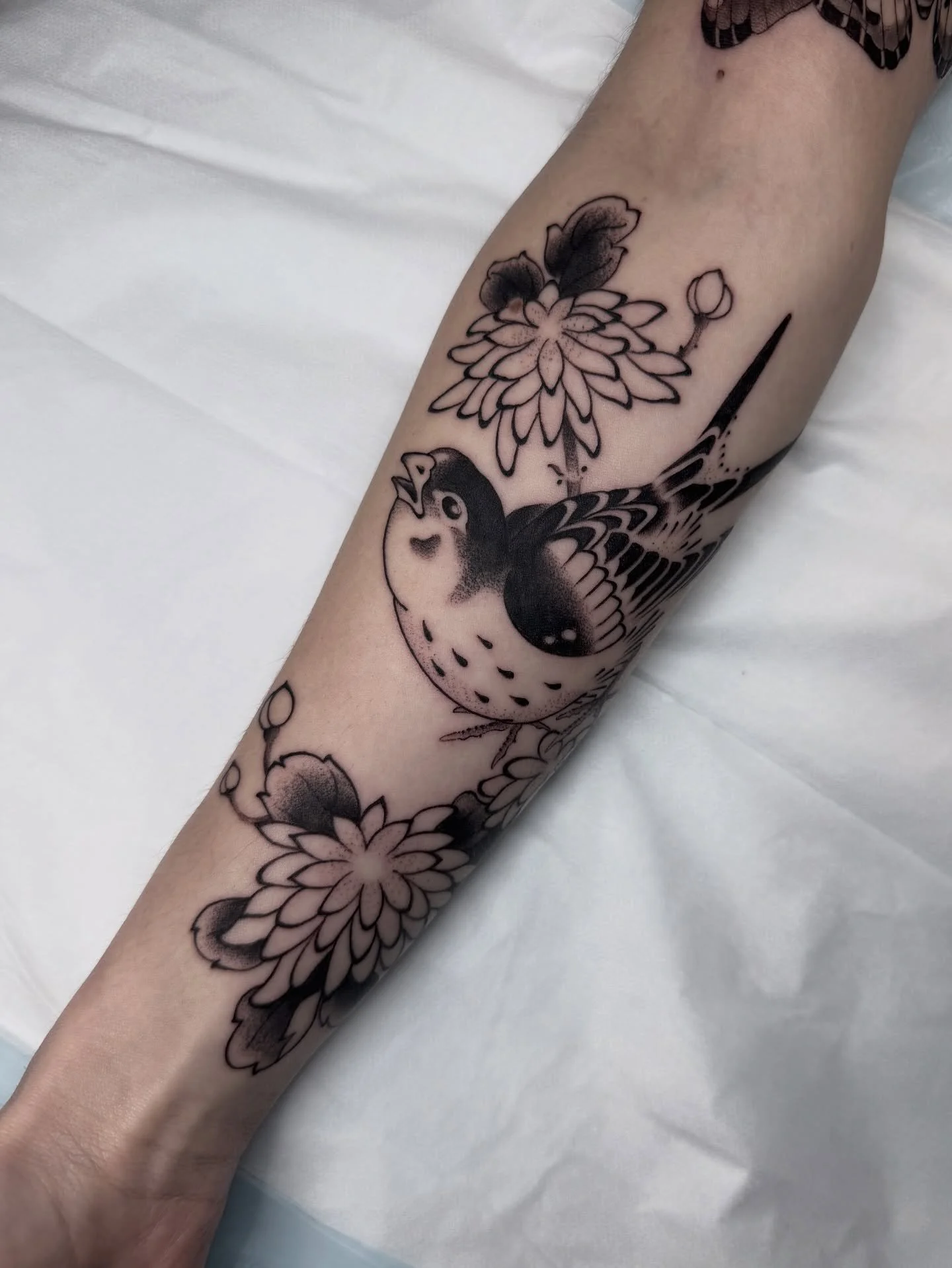 Little bird &amp; chrysanthemums. One of two done for Jade on Sunday @theirongatetattooconvention. Thank you! 

@lighthouse_tattoo 

____________________________________________

 #tat #tattoo #tattooart #tattoos #ink  #japaneseart #sydneyartist #ire