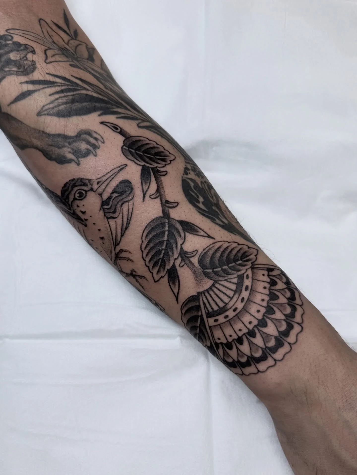 Filling gaps. Thanks Ananya! 
Booking link in bio. 

@lighthouse_tattoo 

________________________________________________

#flower #bird #blackwork #traditional #tattoo