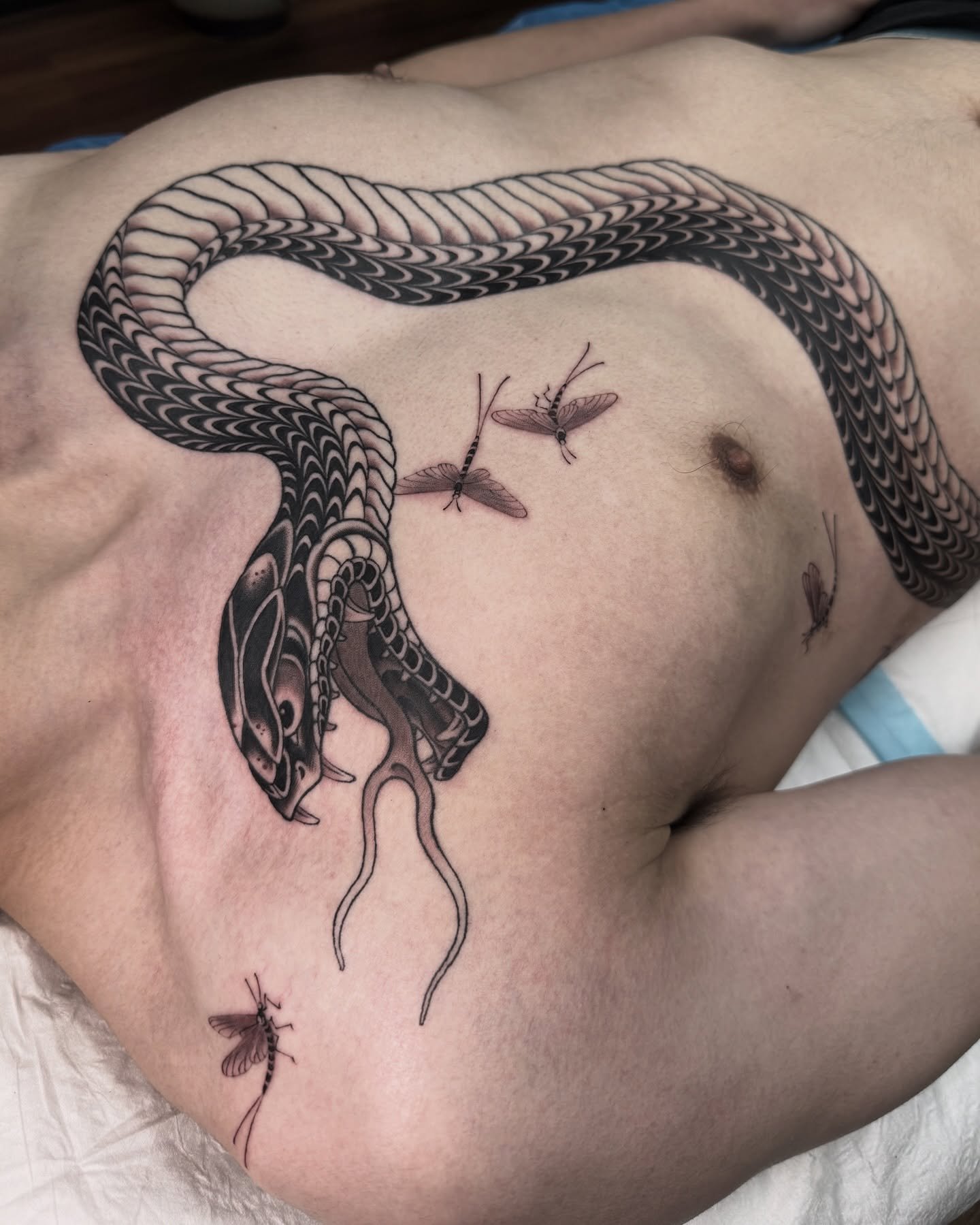 🔎 Snake &amp; mayflies 

Booking link in bio - 
Limited appointments left in December &amp; January. 

____________________________________________

 #tat #tattoo #tattooart #tattoos #ink  #japaneseart #sydneyartist #irezumi #tattoosnob #flashworker