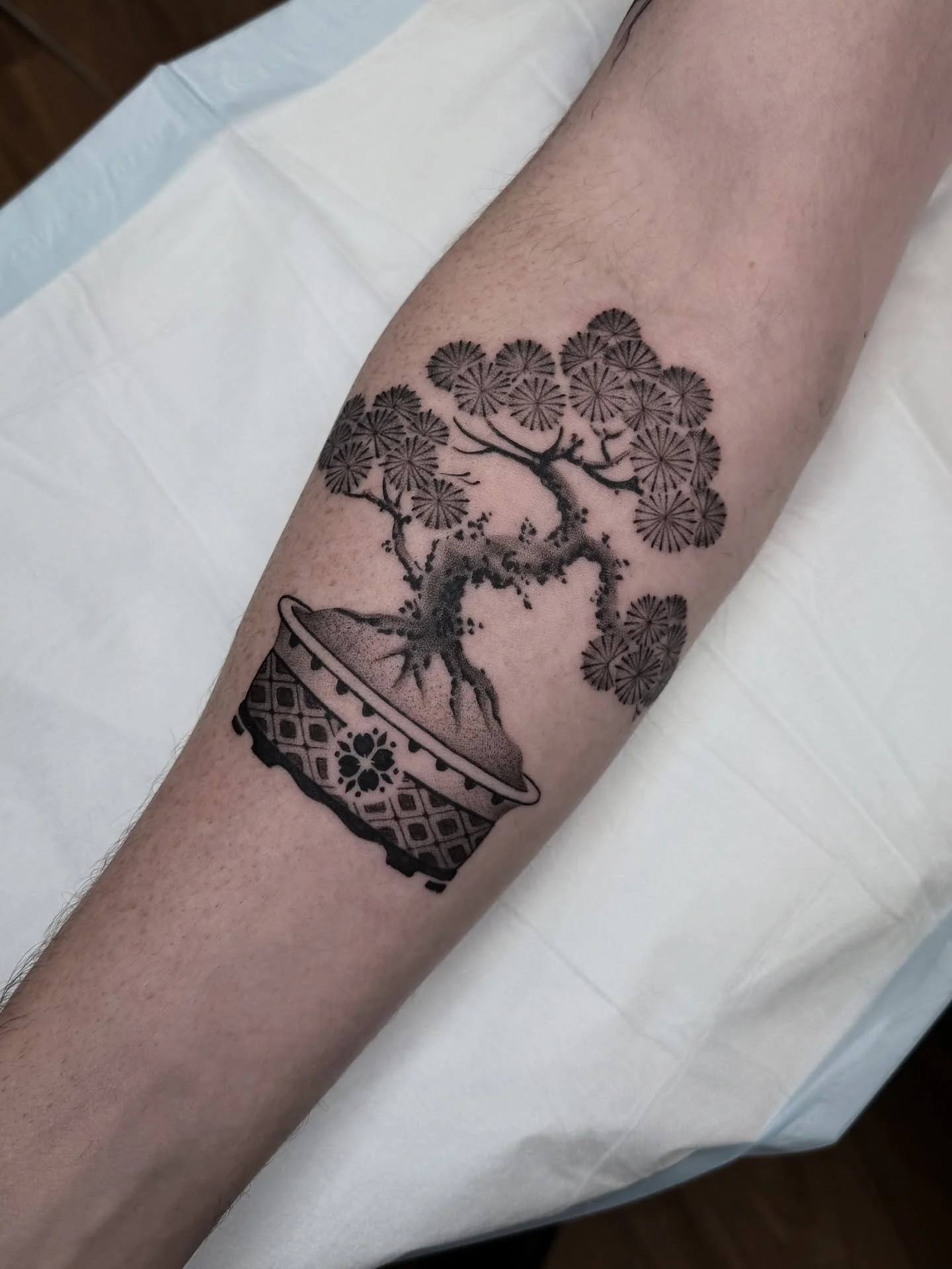 Bonsai 
Thanks Matt! 
Tattooed @lighthouse_tattoo 

My books are filling up fast for Jan/Feb! Submit the contact form on my website to book (link in bio.) 

_______________________________________________

 #tat #tattoo #tattooart #tattoos #ink  #jap
