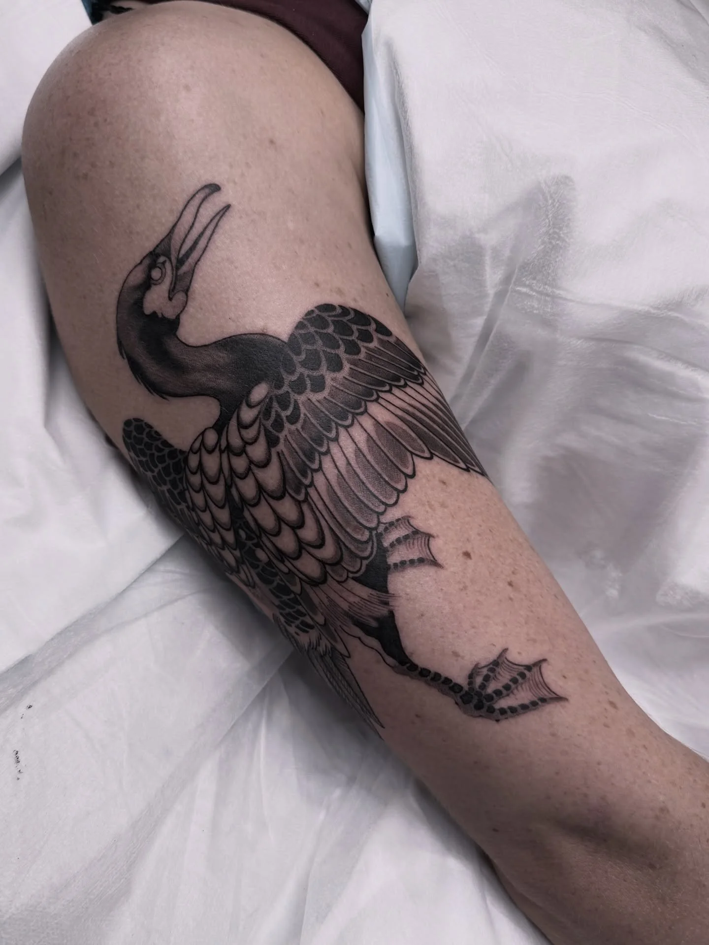 Cormorant 
Few spots left for April - June (booking link in bio) 

Tattooed @lighthouse_tattoo 

#bird #tattoo #blackwork #japanese #cormorant