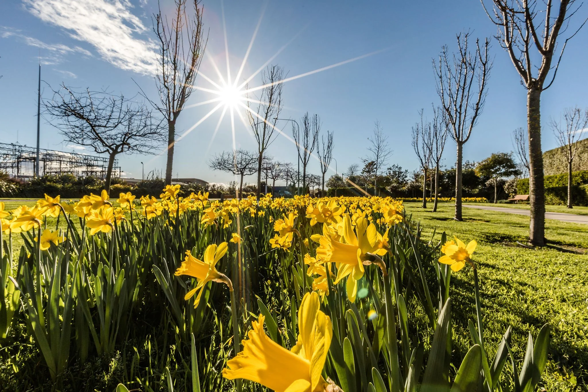 Marlborough Lines Newsletter, October 2026