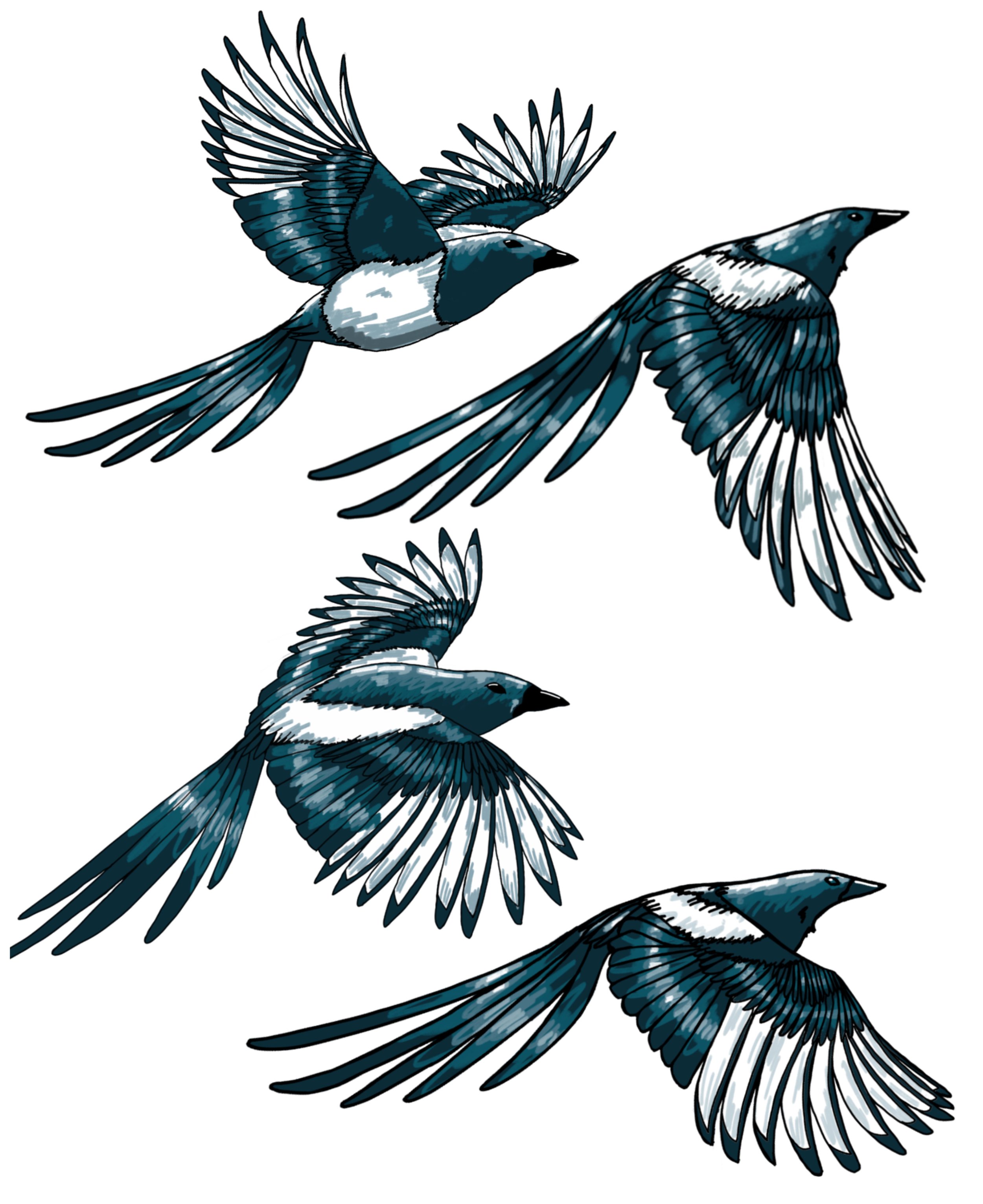 Magpies - Digital.jpeg