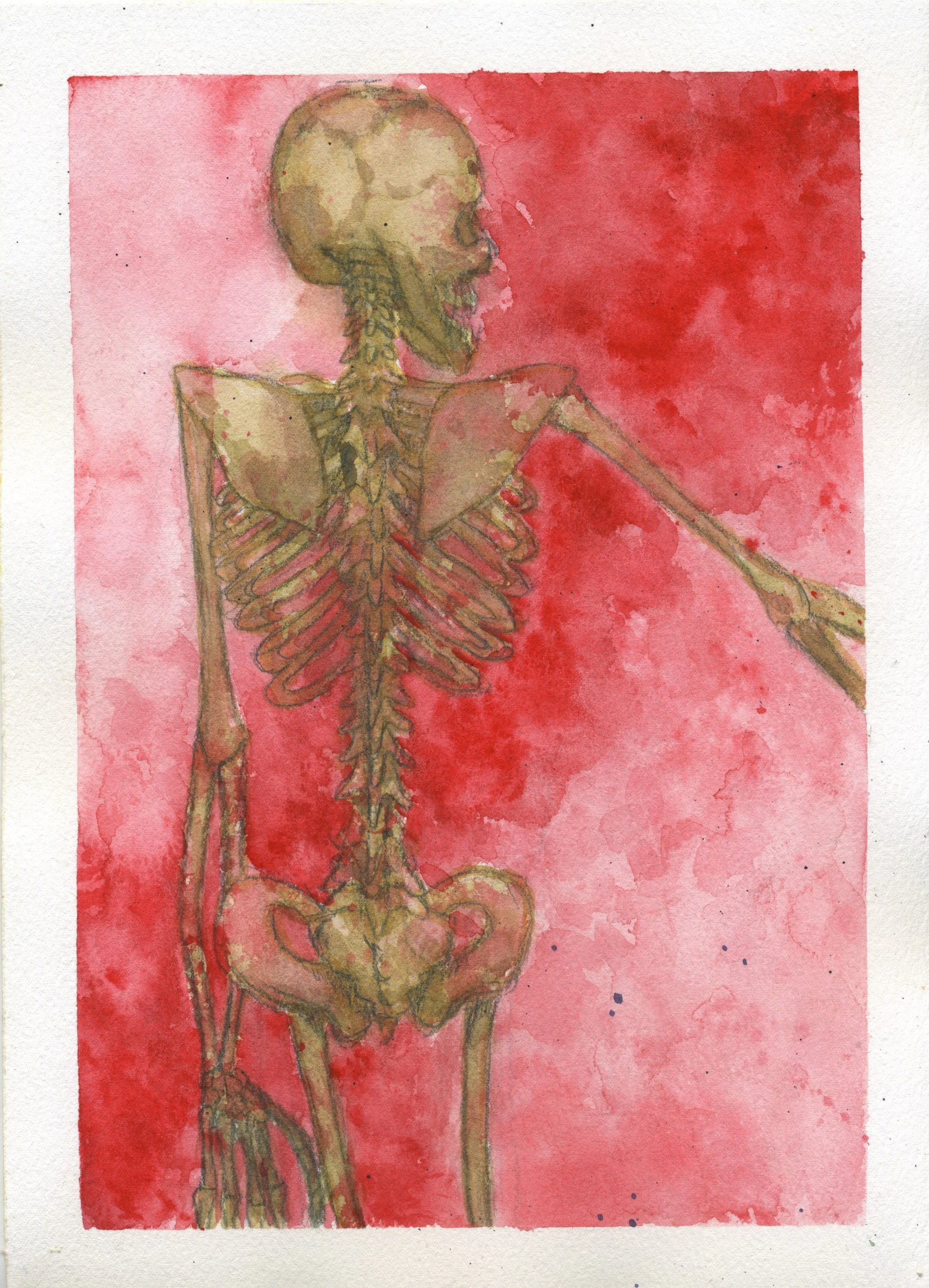Red Full Skeleton - Watercolor.jpeg