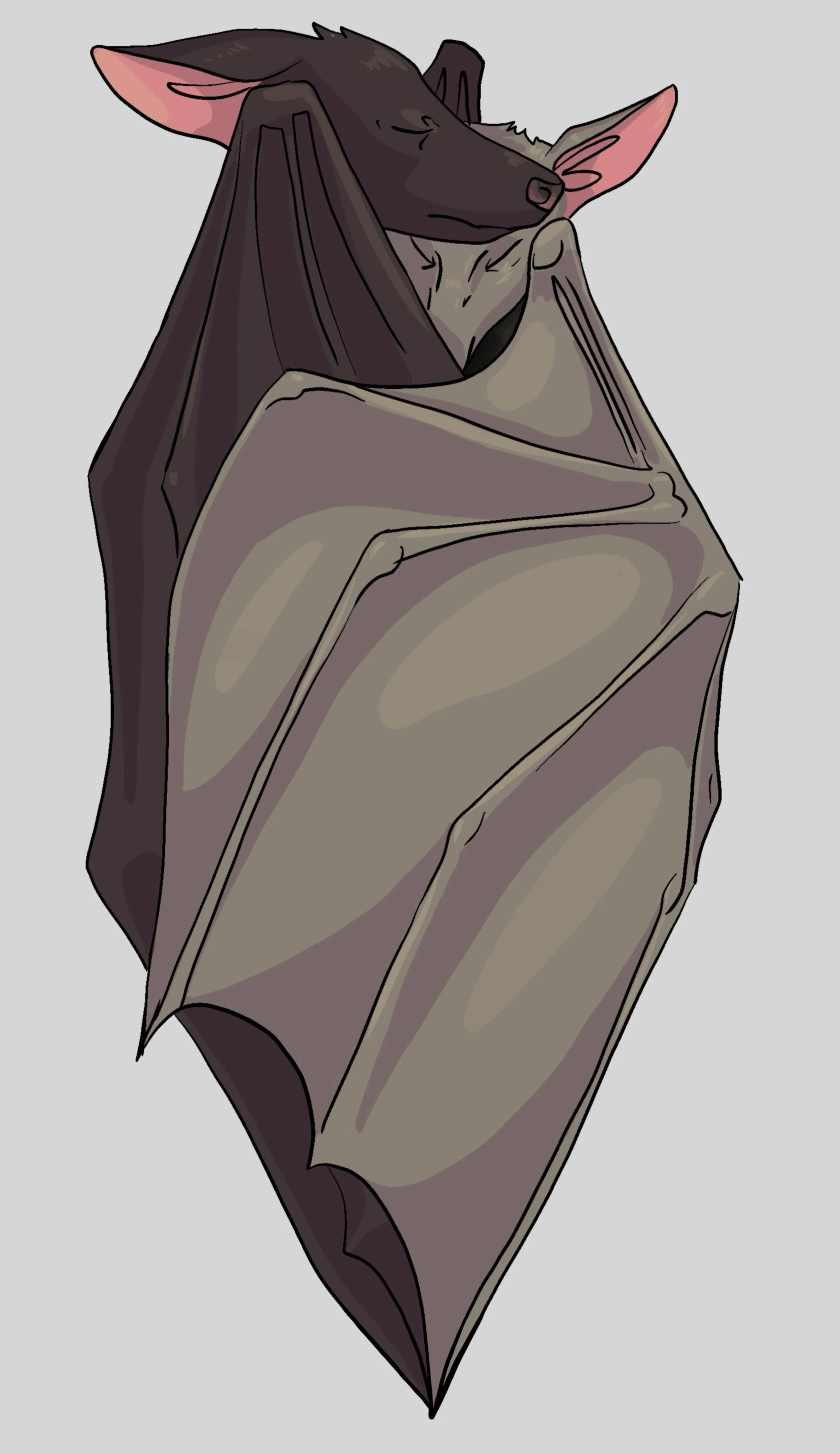 Bat Cuddles - Digital.jpg