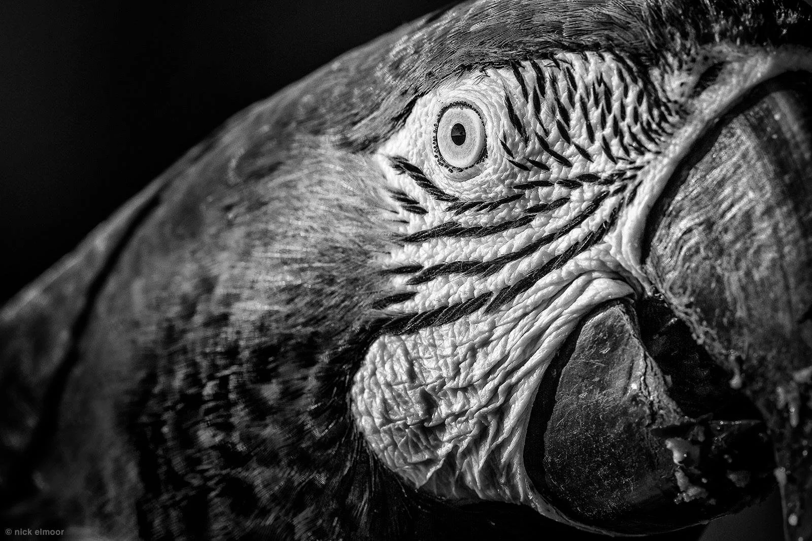 My dear cousin  
  Nick El-moor
  was a Brazilian photographer based in Brasília. At 12 years old, he received a Kodak Instamatic 33 for Christmas, and within six months he was already developing his own negatives, the start of a lifelong dedication 