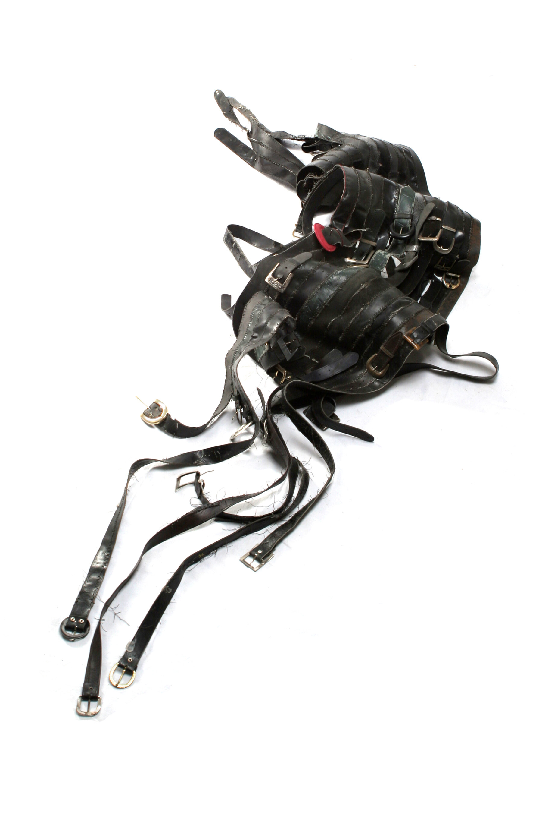 Title: She Stepped Out