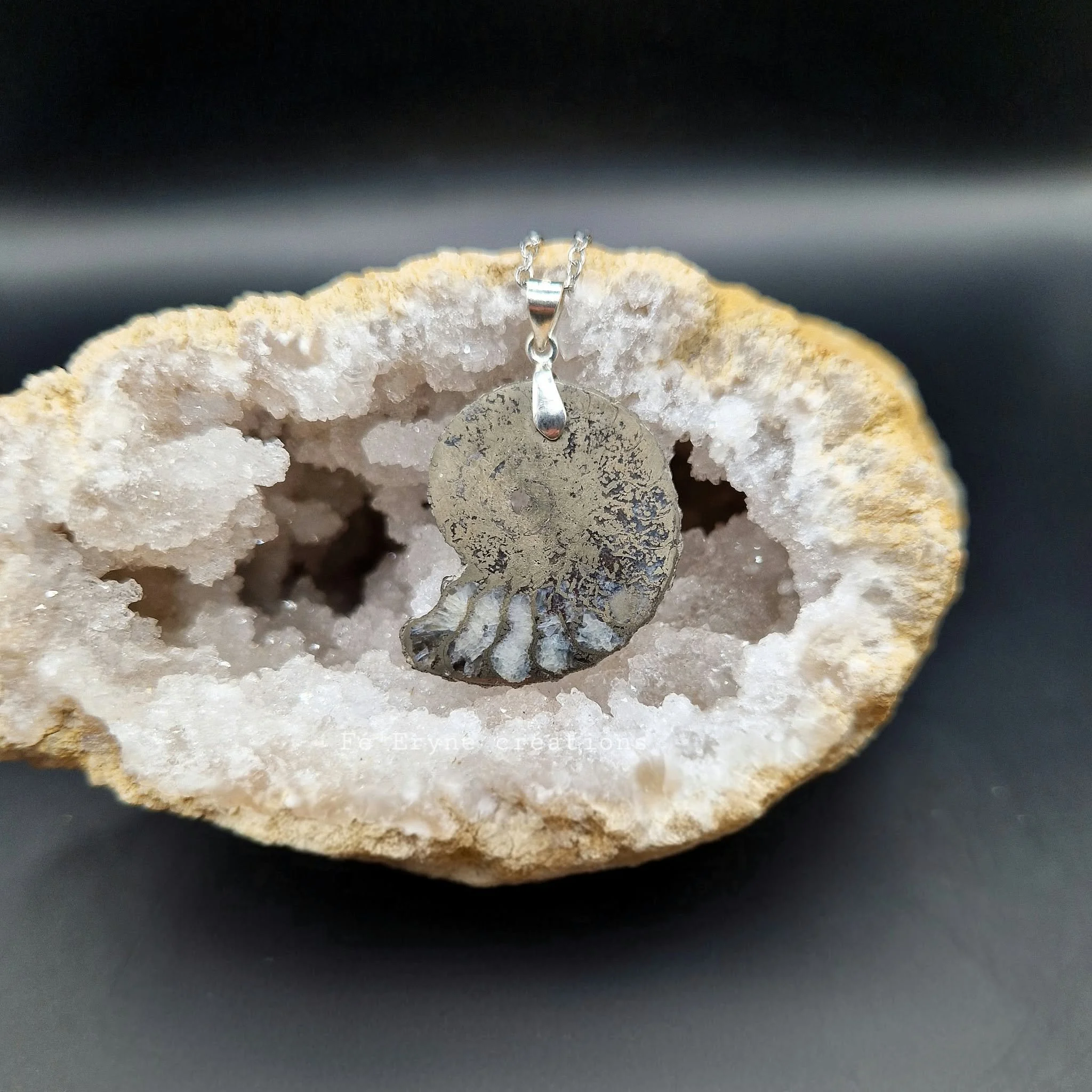 Collier Ammonite pyrisée - Fossile