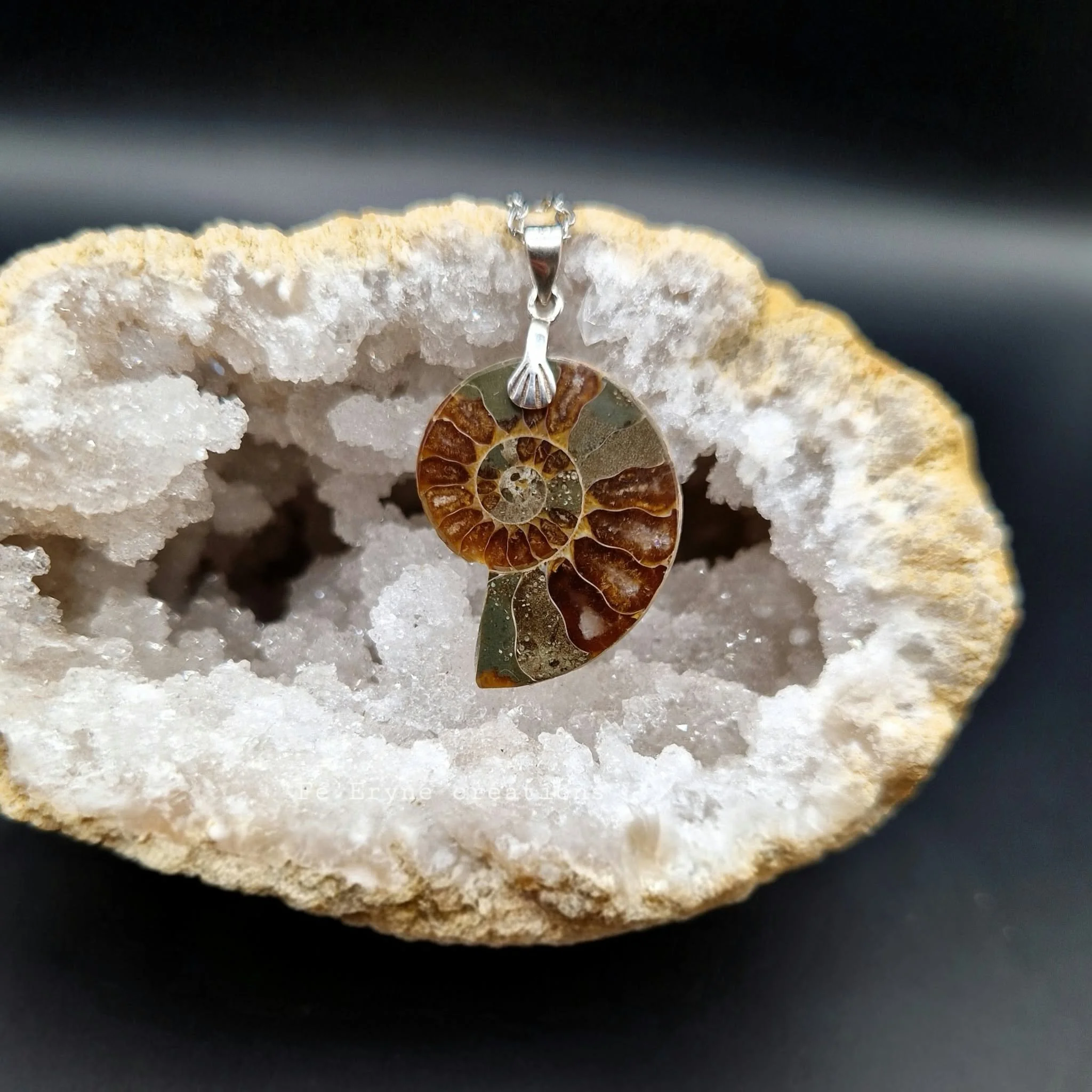 Collier Ammonite - Fossile