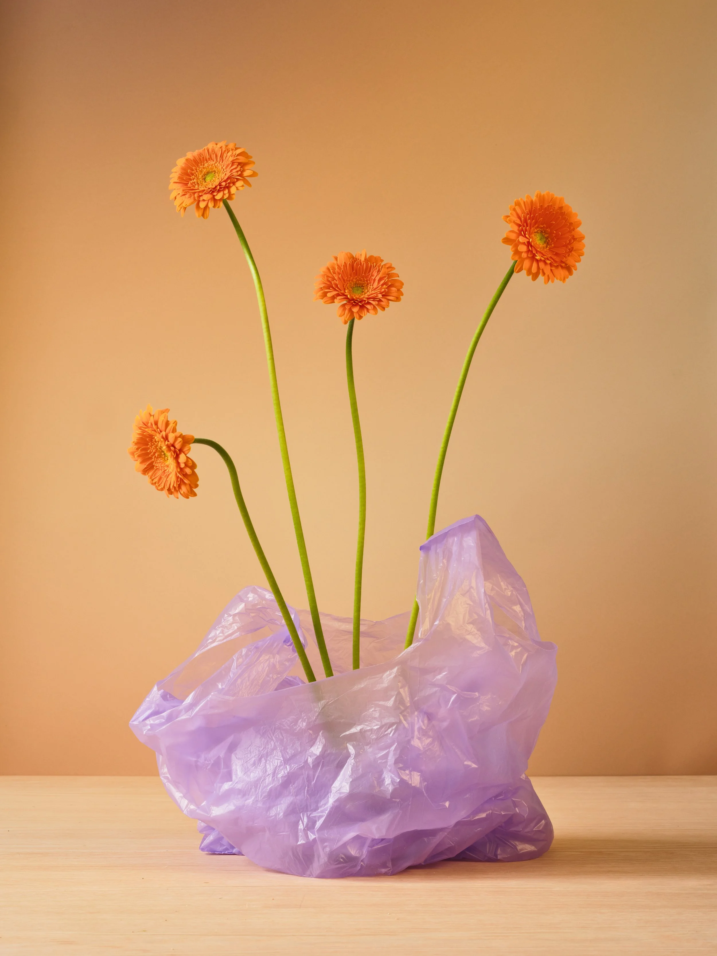 AMARA FLORAL STUDIO DAY 210120261731.jpg