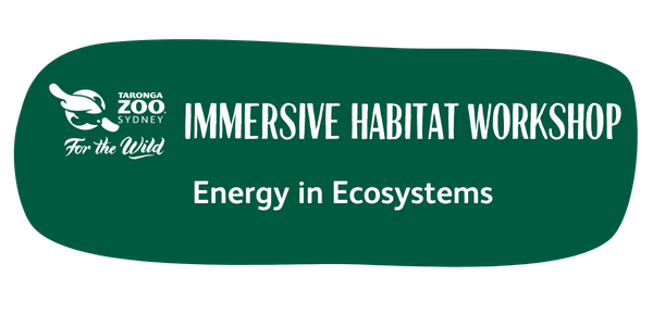 Habitat Workshop Energy in Ecosystems
