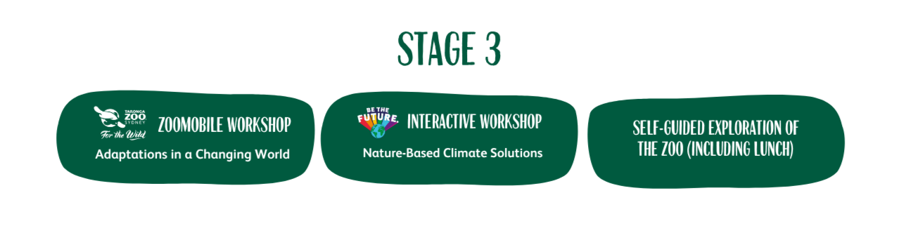 Stage 3 excursion program