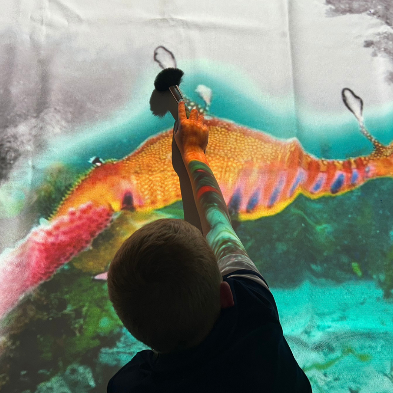 Interactive projections weedy seadragon