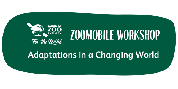 Zoomobile Workshop Adaptations in a Changing World