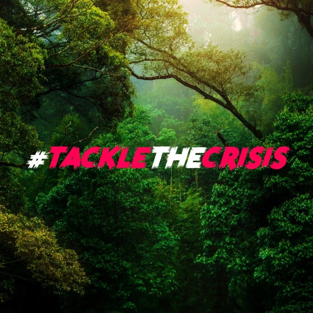 #tacklethecrisis on a forest background