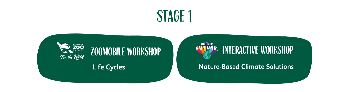 Stage 1 program