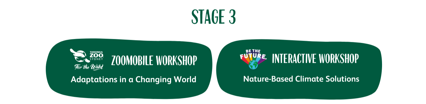 Stage 3 program