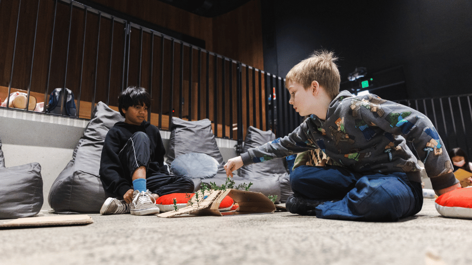 Students creating wildlife corridor with cardboard