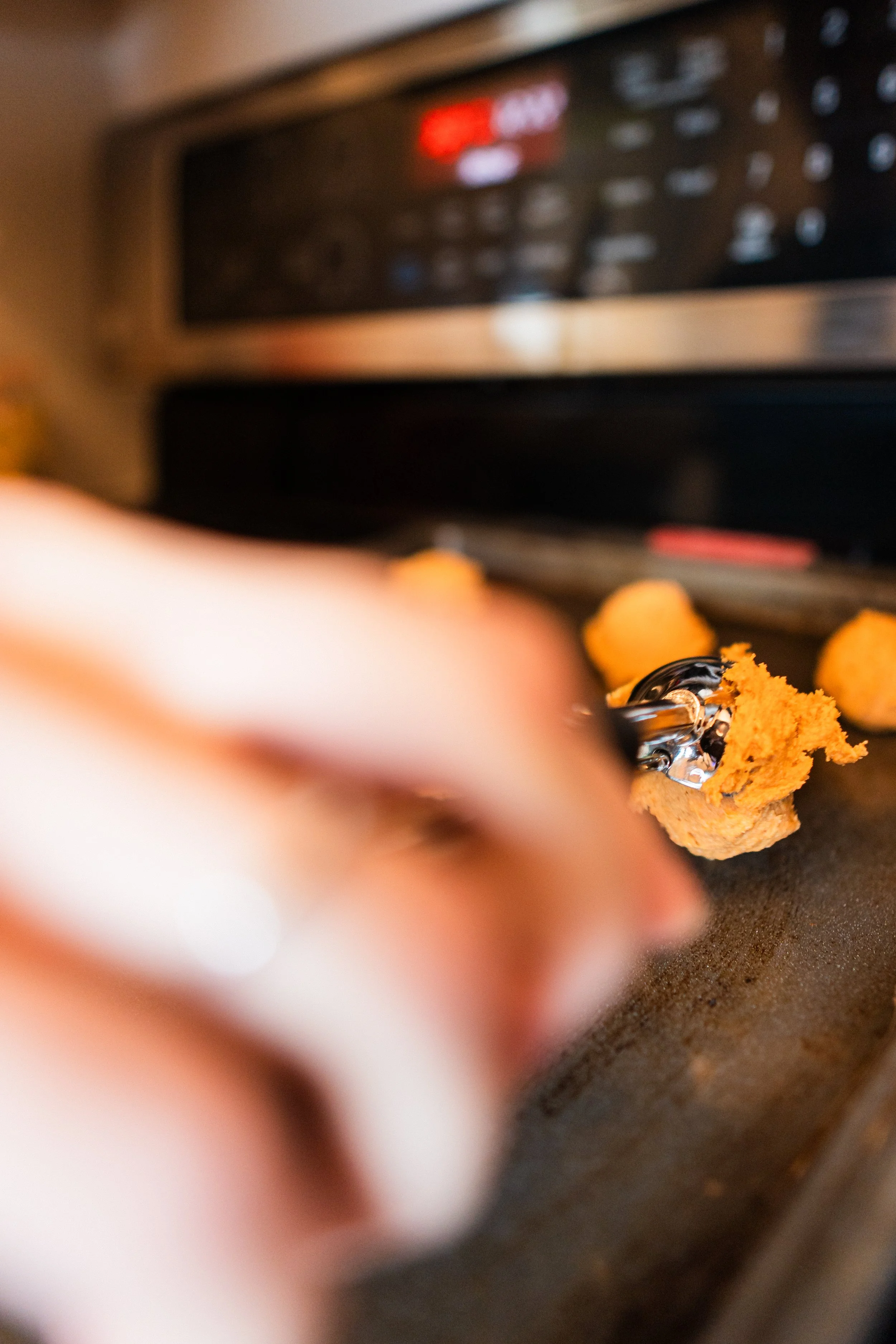 Charlie James Photo - october - minis - jorgenson-37.jpg