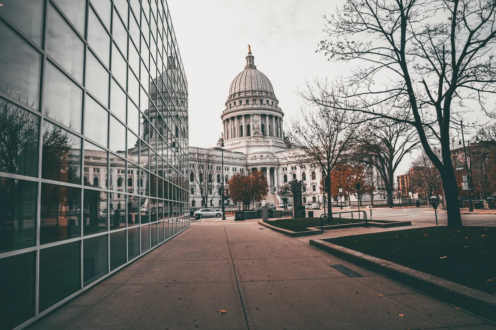 madison 3.jpg