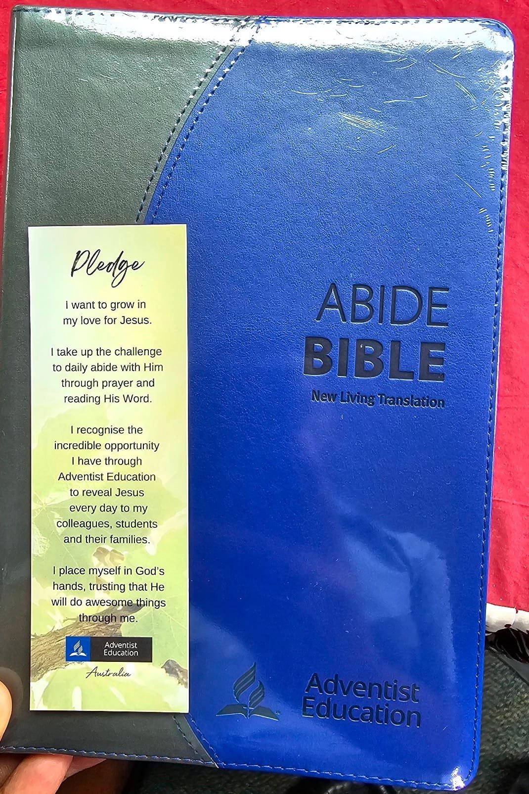 abide Bible project2.jpeg