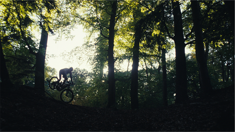 Een persoon die mountainbiking in een bos onder bomen met veel groen, silhouet tegen de lichtinval.